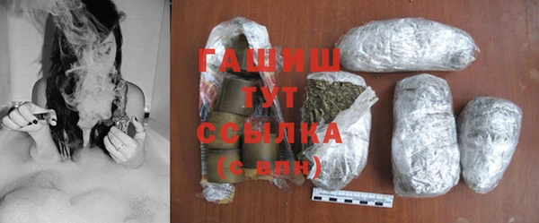 прущие грибы Алзамай