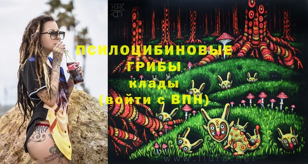бошки Пестово