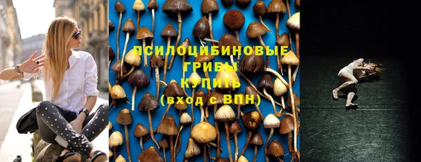 эйфоретик Алексин