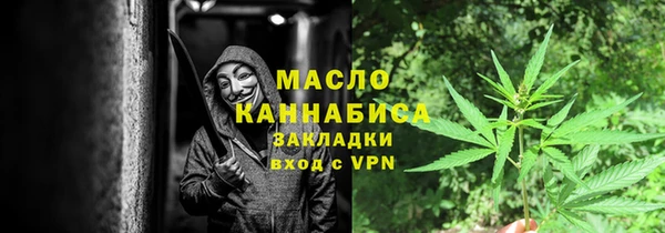 прущие грибы Алзамай