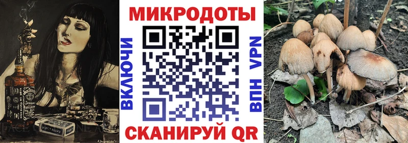 Галлюциногенные грибы Cubensis KRAKEN зеркало Салехард